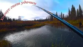 РЫБАЛКА НА ХАРИУСА ОСЕНЬЮ!