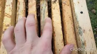vadim ovchinnikov igbek804mp4 zKEk