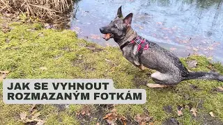 Jak se vyhnout rozmazaným fotkám při focení mobilem (Xiaomi, Samsung, iPhone)
