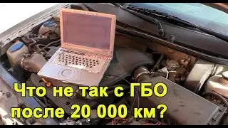 Jerks when running on gas after 20,000 km