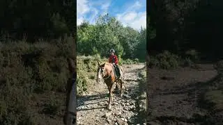 кому понравилось видео поставь лайк