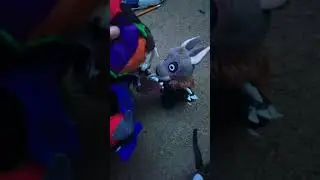 Was that the bite of 87 