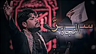 مثل الضوة اليعبر من البوب | مرتضى حرب | سر النجاة | حالات واتساب حسينية 🤍 جديدة 2026