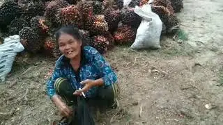 Virael Ibu Ini Mengambil Berondo😂😂😂LaN🤓🤓🤓