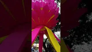 Akashkandil in Goa 2019