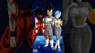 Goku VS Vegeta Family 
