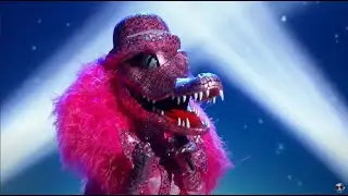 Crocodile 