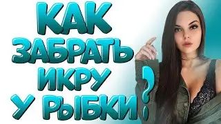 Спонтанный нерест цихлиды еллоу в общем аквариуме.