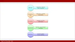 Big Five Personality Traits