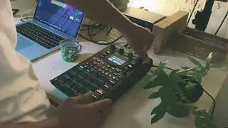 Chill Lofi Beats - SP-404 Mk2