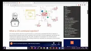 Testing for command injection // Evaluating Input Validation Checks