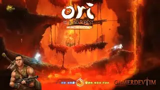 Ori And The Blind Forest Walkthrough 20