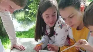 Proxecto Ríos Ceip O Vicedo