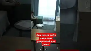 Проверка няни обернулась трагедией