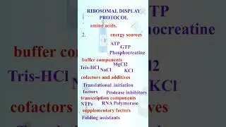 Ribosomal display protocol | overview