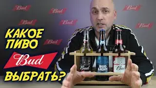 У ВСЕГО ПИВА BUD ОДИН ВКУС?