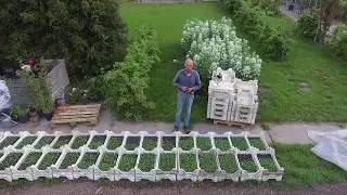 Potato  breeding #12  seedlings and biofield