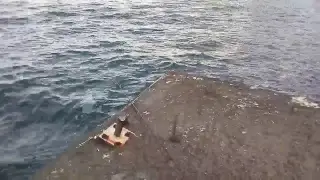 Утес,декабрь 2018
