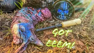 Epic Spring Gobbler Turkey Hunt!