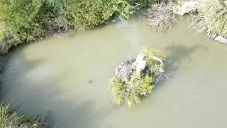 November .Max Richter.Parco di Villa Sorra . Drone e Camera