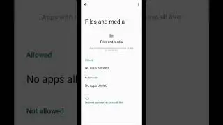 How to Give App Storage Permission on your Android Phone