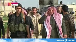 Сирия в ожидании перемирия