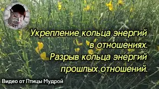 Как укрепить кольцо энергий в настоящих отношениях. Как разорвать кольцо энергий прошлых отношений.