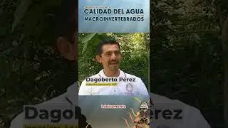 Muchos ríos en época seca solo trasladan aguas negras #elsalvador #investigacióncientíficaues #agua