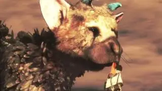 The Last Guardian™ Последний хранитель - концовка