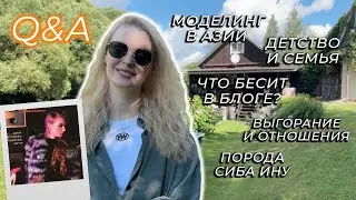 Вопрос&Ответ: моделинг по контракту в Азии, что бесит в блогинге, образование и советы самой себе 🤔