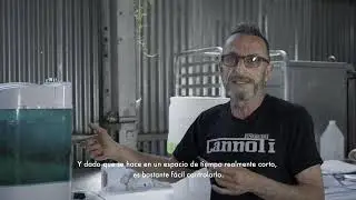 #1: 