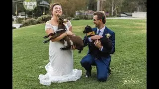 Jack & Keyarra's Paradise Country Gold Coast Wedding Video