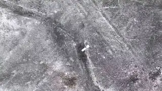 The aerial scouts of the Brigade of NGU 
