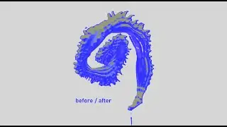 max not - before / after [mini ep + visualizer]