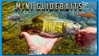 I'm Giving Away the Lure They Couldn't Stop Biting