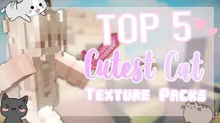 Top 5 CUTEST CAT Texture Packs for pvp (Minecraft)
