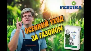 Как ухаживать за газоном Осенью?