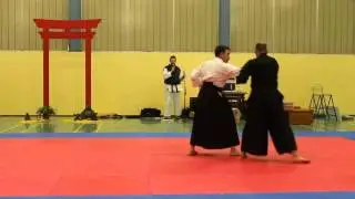 nihon taiho jutsu demonstration