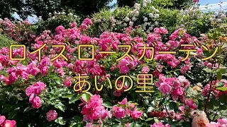 ロイズ ローズガーデンあいの里 【2022.07.03】