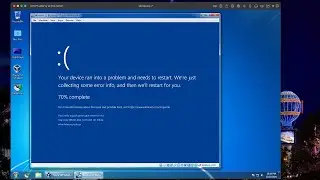 Windows 11 BSOD Compilation Part 2