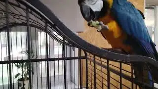 Эко парк ,,Тайга,, в Тюмени