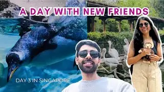 Wildlife like never before at Bird Paradise & Night Safari in Singapore - Ep. 7