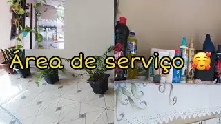 FAXINEI ÁREA E PINTEI E DECOREI COM AS PLANTAS