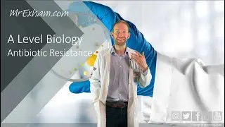Antibiotic Resistance - A Level Biology