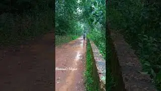 #shortsviral #shortsyoutube #nature #home
