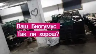 Биогумус производство честное НАСТОЯЩЕГО органического удобрения.