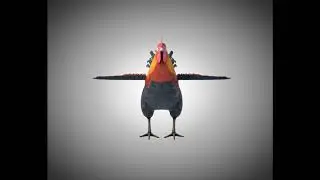 3D Model Rooster Cock Bird PBR Rigged Low poly at 3DExport.com