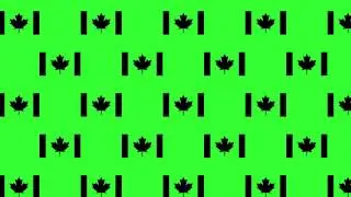 12Hrs of Maple Leaf's on Green Motif