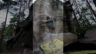 Quatre 7A | Fontainebleau