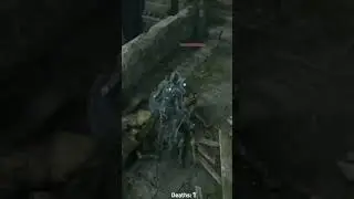 “Parry this you casual” 🤺 #gaming #twitch #Demonssouls #Soulslike